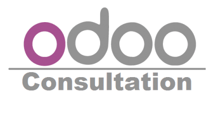 Odoo ERP Consulting