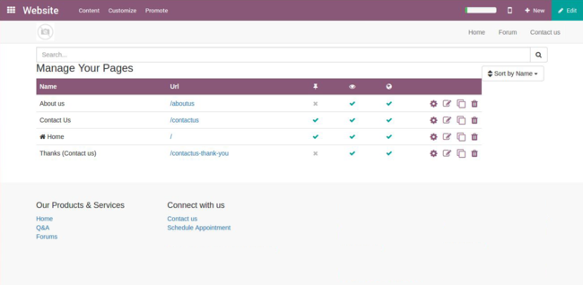 Odoo 11 Website Builder